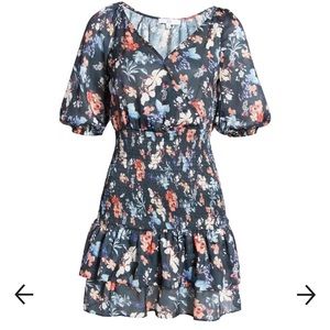 NSR Audra Smocked Mini Dress (Nordstrom)